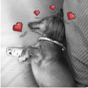 Meet your Posher, Maegan